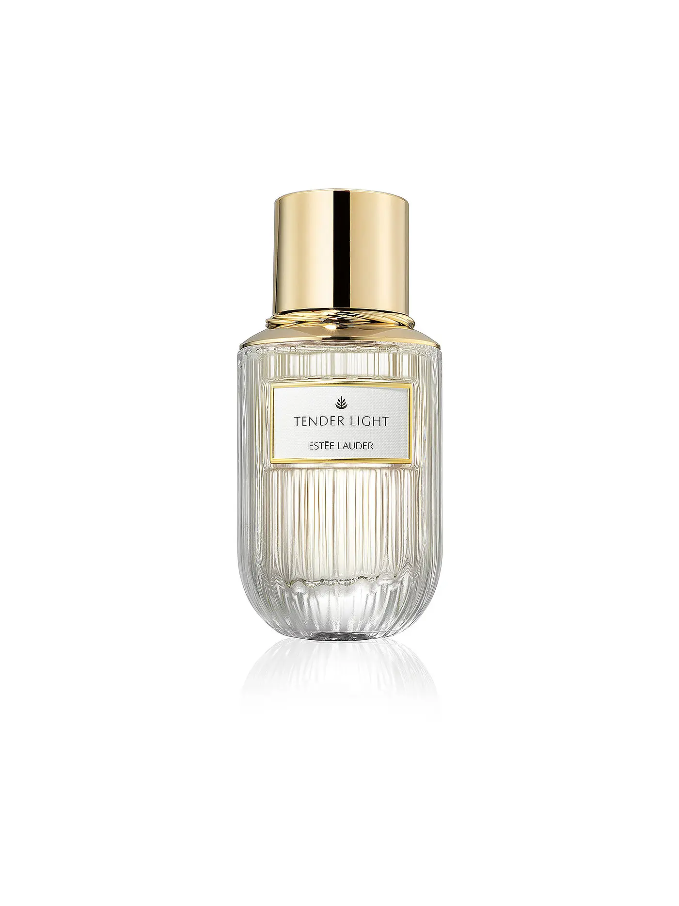 ESTÉE LAUDER | Tender Light Eau de Parfum Spray 40ml | 